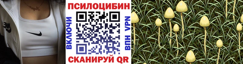 как найти закладки  Воскресенск  Галлюциногенные грибы мицелий 